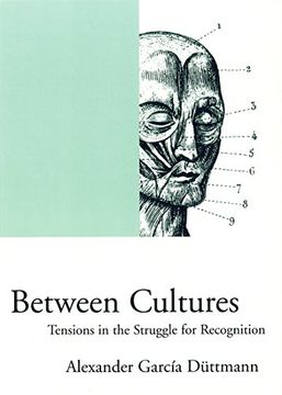 portada Between Cultures: Tensions in the Struggle for Recognition (en Inglés)