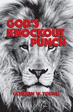 portada God's Knockout Punch (in English)