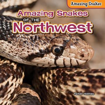 portada Amazing Snakes of the Northwest (en Inglés)