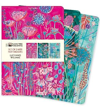 portada Lucy Innes Williams set of 3 Midi Notebooks (Midi Notebook Collections) (in English)