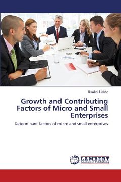 portada Growth and Contributing Factors of Micro and Small Enterprises