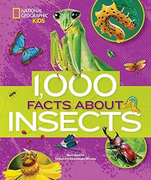 portada 1000 Facts About Insects (100 Facts About…) (en Inglés)