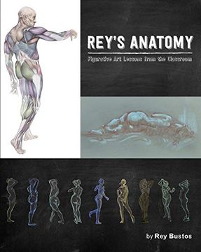 portada Rey's Anatomy (in English)