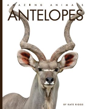 portada Antelopes (Amazing Animals) (en Inglés)