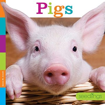 portada Seedlings: Pigs