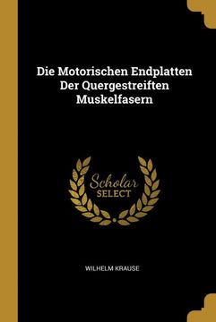 portada Die Motorischen Endplatten der Quergestreiften Muskelfasern (in German)
