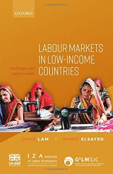 portada Labour Markets in Low-Income Countries: Challenges and Opportunities (en Inglés)