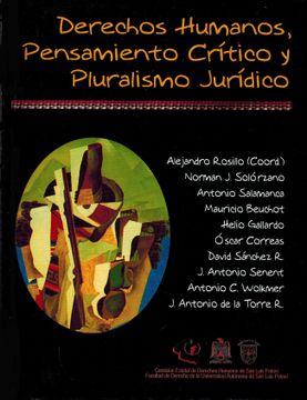 portada Derechos humanos, pensamiento crítico y pluralismo jurídico (in Spanish)