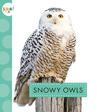 portada Snowy Owls (Spot Arctic Animals) (en Inglés)