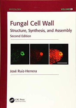 portada Fungal Cell Wall: Structure, Synthesis, and Assembly, Second Edition (en Inglés)