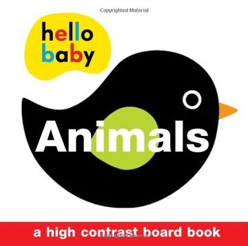 portada Animals: Wipe Clean Activity Flashcards 