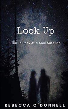 portada Look up: The Journey of a Soul Satellite (en Inglés)