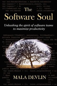 portada the software soul (en Inglés)