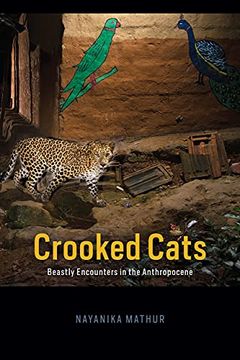 portada Crooked Cats: Beastly Encounters in the Anthropocene (Animal Lives) 