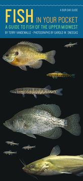 portada Fish in Your Pocket: A Guide to Fish of the Upper Midwest de Terry Vandewalle(Univ of Iowa pr)