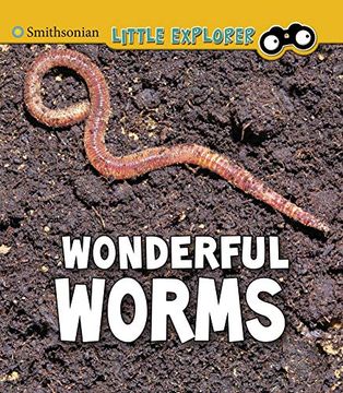 portada Wonderful Worms (Insect Explorer) (in English)