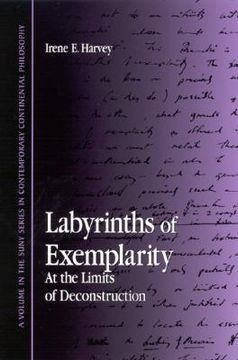 portada labyrinths of exemplarity: at the limits of deconstruction (en Inglés)