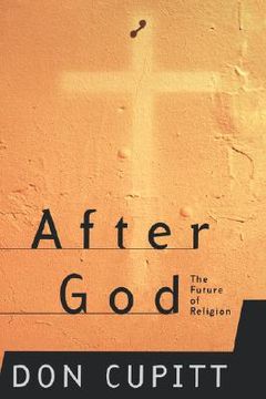 portada after god: the future of religion (en Inglés)