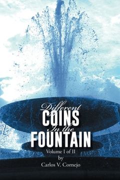 portada Different Coins in the Fountain: Volume I of II (Volume 1)