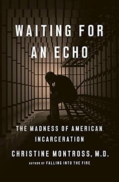 portada Waiting for an Echo: The Madness of American Incarceration 