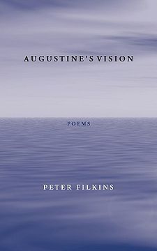 portada augustine's vision (en Inglés)