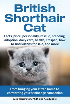 portada British Shorthair cat (en Inglés)