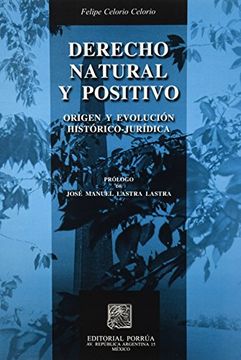 portada Derecho Natural y Positivo (in Spanish)
