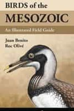 portada Birds of the Mesozoic: An Illustrated Field Guide (en Inglés)