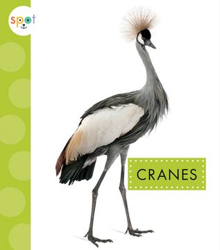 portada Cranes (en Inglés)