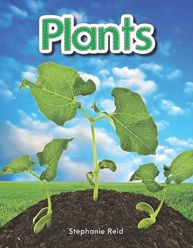 portada plants lap book (en Inglés)