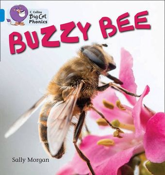 portada Buzzy Bees: Band 04/Blue (en Inglés)