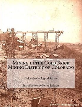 portada Mining in the Gold Brick Mining District of Colorado