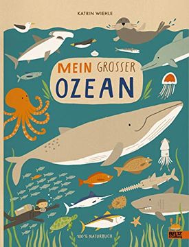 portada Mein Großer Ozean: 100 % Naturbuch - Vierfarbiges Pappbilderbuch (in German)