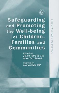 portada Safeguarding and Promoting the Well-Being of Children, Families and Communities (in English)