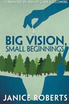 portada Big Vision, Small Beginnings