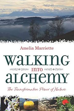 portada Walking Into Alchemy: The Transformative Power of Nature (en Inglés)