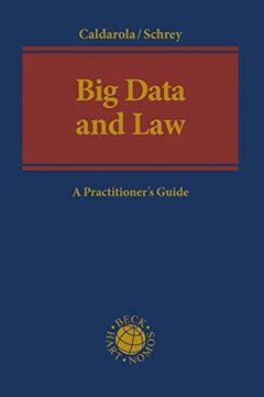 portada Big Data and Law (en Inglés)