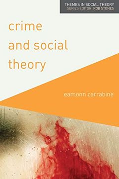portada Crime and Social Theory (Themes in Social Theory) (en Inglés)