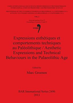portada Expressions esthétiques et comportements techniques au Paléolithique / Aesthetic Expressions and Technical Behaviours in the Palaeolithic Age (BAR International Series)