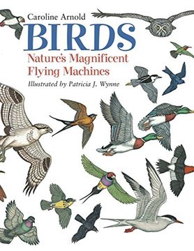 portada Birds: Nature's Magnificent Flying Machines (en Inglés)