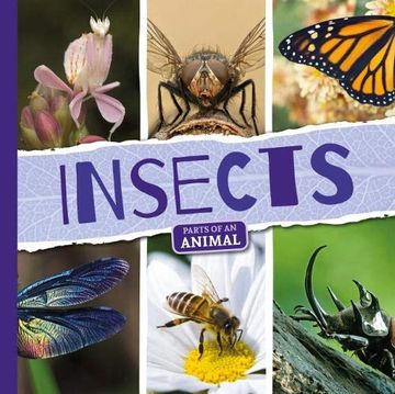 portada Insects (Parts of an Animal) (en Inglés)
