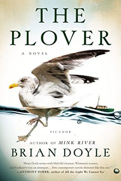 portada The Plover: A Novel (en Inglés)