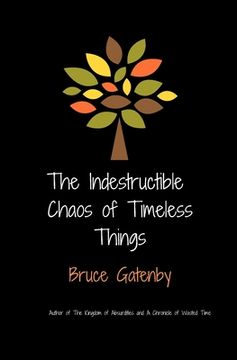portada The indestructible chaos of timeless things (en Inglés)