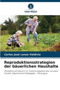 portada Reproduktionsstrategien der bäuerlichen Haushalte (in German)