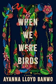 portada When we Were Birds 