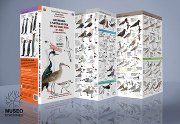portada Guía de Aves Marinas y Playeras de Chile (libro en Inglésespañol)
