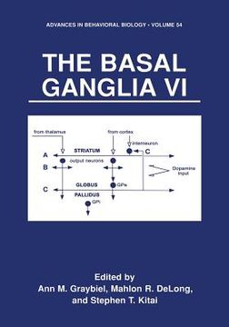 portada The Basal Ganglia VI (in English)