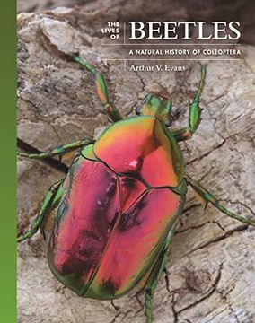 portada The Lives of Beetles: A Natural History of Coleoptera (The Lives of the Natural World) (in English)