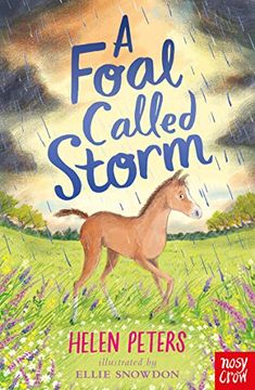 portada A Foal Called Storm (The Jasmine Green Series, 11) (in English)