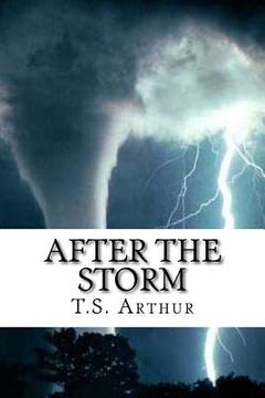 portada After the Storm (en Inglés)